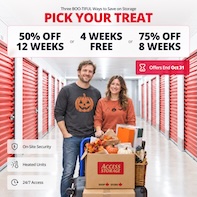 Access Storage  - North York Leslie Promotion